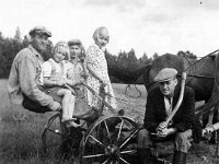 korpela(17)  Vasemmalta Ilmari (26.4.1907 - 1.1.1970), Anna-Liisa (myöhemmin Lindeman, s. 1944), Esko, Vieno ja Timo Salonen (25.5.1911 - 3.8.1993) kahden hevosen vetämän niittokoneen kyydissä Lamminmäen pellolla. Timolla olallaan viikate.