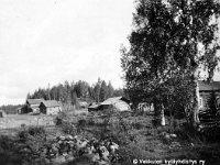 Image47a  Oikealta koivun takana Leuhulan vanha talo (toinen pääty purettu 1955 tai 1956), pihakeinu, sitten pääty keinuun päin Maria ja Kalle Maailman mökki (purettu 1940-luvun alussa), jatkona puuliiteri, ehkä vähän vanhan navetan harjaa, sitten matalampi on vanha riihi, korkeampi on uusi riihi (3-osainen, vasemmalla riihen katos, joka on sittemmin purettu)