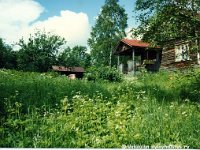peltola(4)  autio